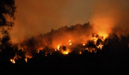 Rừng giáp ranh bốc cháy ngùn ngụt trong đêm, hàng trăm cán bộ PCCC được điều đồng